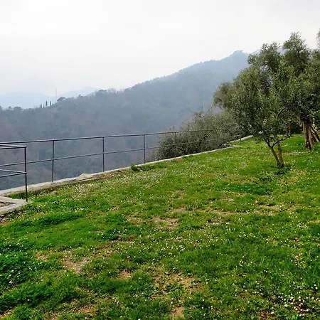 Campodonico