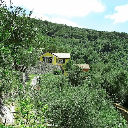 Campodonico Ραπάλο